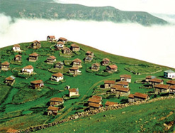 Ücretsiz gençlik kampları