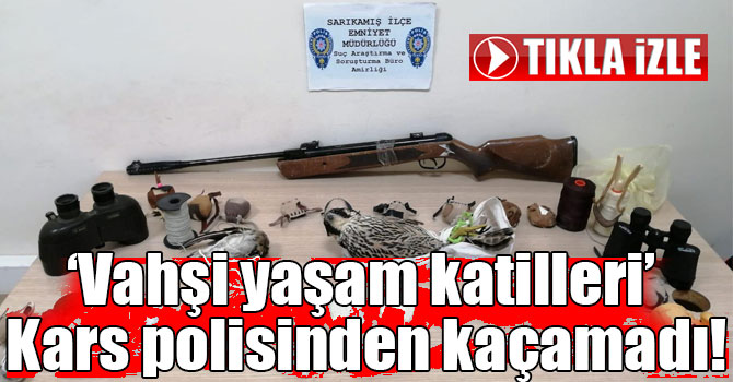 ‘Vahşi yaşam katilleri’ Kars polisinden kaçamadı!