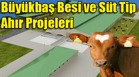 Büyükbaş Besi ve Süt Tip Ahır Projeleri