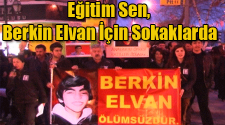 Eğitim Sen, Berkin Elvan İçin Sokaklarda