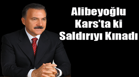 Alibeyoğlu, Kars'taki Saldırıyı Kınadı