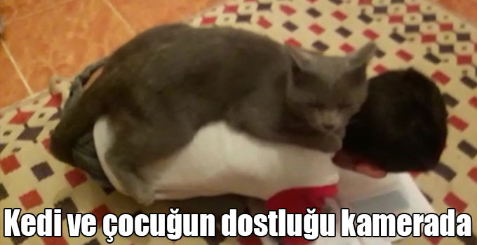 Kars’ta kedi ve çocuğun dostluğu kamerada