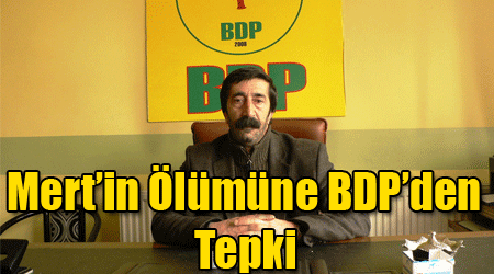 Mert’in Ölümüne BDP’den Tepki