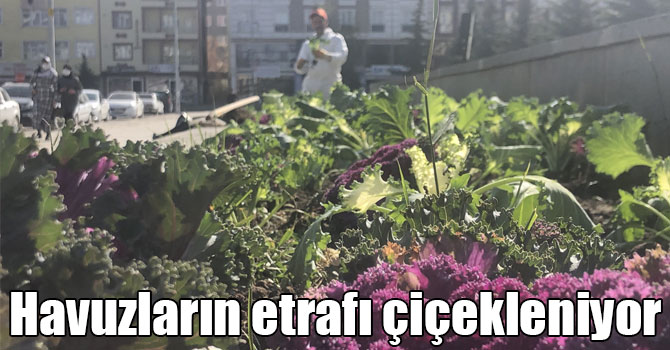 Kars’ta havuzların etrafı çiçekleniyor