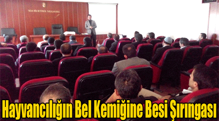 Hayvancılığın Bel Kemiğine Besi Şırıngası