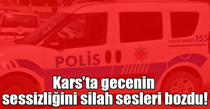 Kars’ta gecenin sessizliğini silah sesleri bozdu!