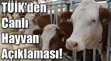 TÜİK'den Canlı Hayvan Açıklaması!