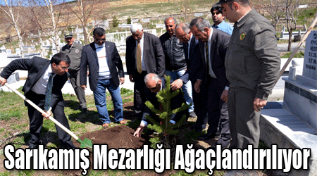 Sarıkamış Mezarlığı Ağaçlandırılıyor