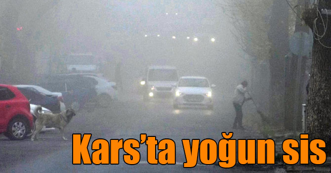 Kars’ta yoğun sis