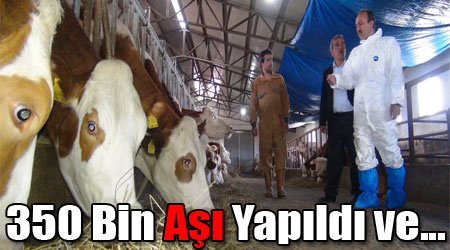 350 Bin Aşı Yapıldı ve...