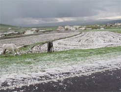 DOLU ÇILDIR'I BEYAZA BÜRÜDÜ