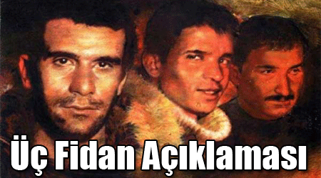 Üç Fidan Açıklaması