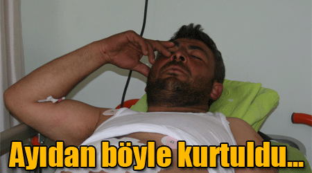 Ayıdan böyle kurtuldu...