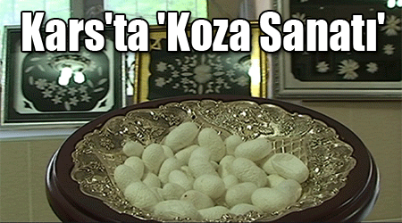 Kars'ta 'Koza Sanatı'