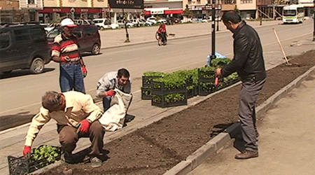 Kars'ta 100 bin çiçek dikiliyor
