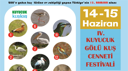 Yarın Festival Var!