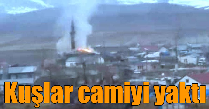 Kuşlar camiyi yaktı