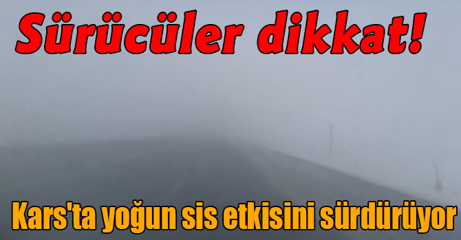 Sürücüler dikkat! Kars'ta yoğun sis etkisini sürdürüyor