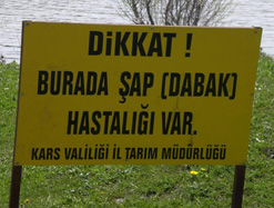 Hayvan Pazarı Kapatıldı