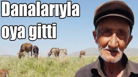 Danalarıyla oya gitti