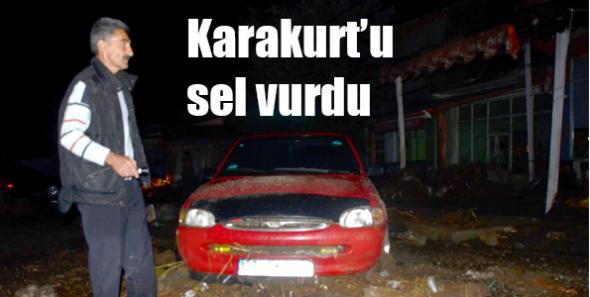 Karakurt’u sel vurdu