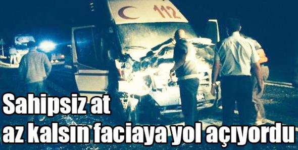Sahipsiz at az kalsın faciaya yol açıyordu