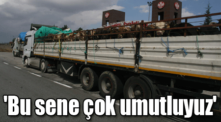 'Bu sene çok umutluyuz'