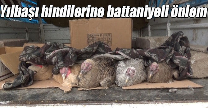 Kars’ta yılbaşı hindilerine battaniyeli önlem