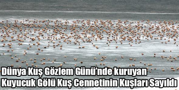 Kuş Cennetinin Kuşları Sayıldı
