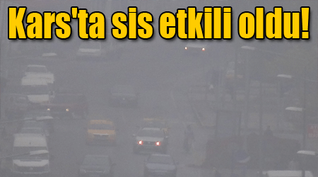 Kars'ta sis etkili oldu!