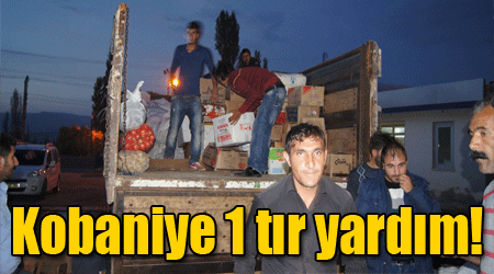 Kobaniye 1 tır yardım!