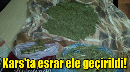 Kars'ta esrar ele geçirildi!