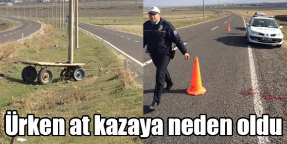 Ürken at kazaya neden oldu