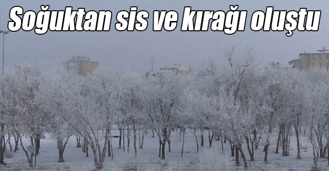 Kars’ta soğuktan sis ve kırağı oluştu