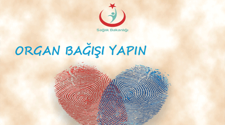 3-9 Kasım Organ Bağışı Haftası
