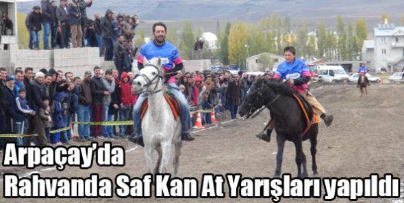 Arpaçay’da Rahvanda Saf Kan At Yarışları yapıldı