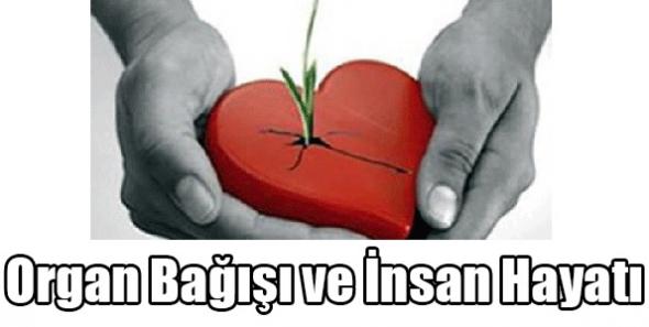 Organ Bağışı ve İnsan Hayatı