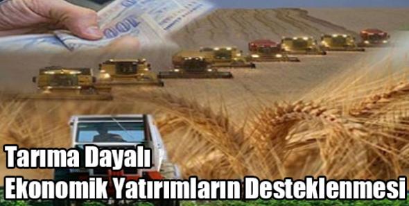 Tarıma Dayalı Ekonomik Yatırımların Desteklenmesi