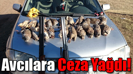 Avcılara Ceza Yağdı!