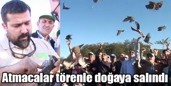 Atmacalar törenle doğaya salındı