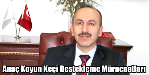 Anaç Koyun Keçi Destekleme Müracaatları
