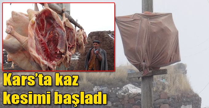 Kars’ta kaz kesimi başladı