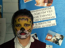 Aslan Kız'a İlgi..