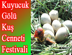 Kuyucuk Gölü’nde 3. Kuyucuk Doğa Festivali