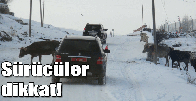Sürücüler dikkat!