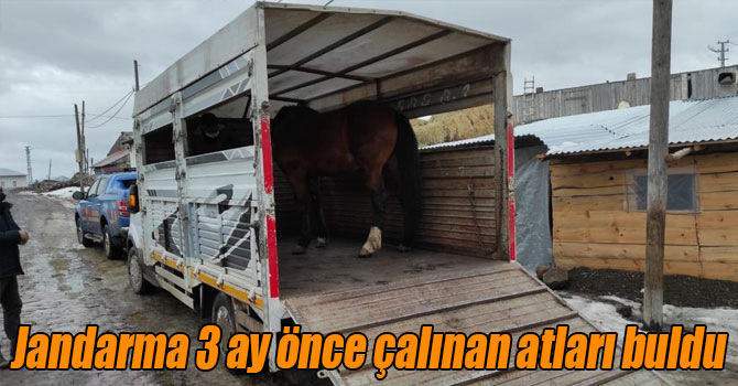 Jandarma 3 ay önce çalınan atları buldu