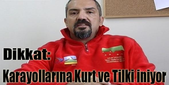 Dikkat: Karayollarına Kurt ve Tilki iniyor