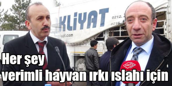 Her şey verimli hayvan ırkı ıslahı için