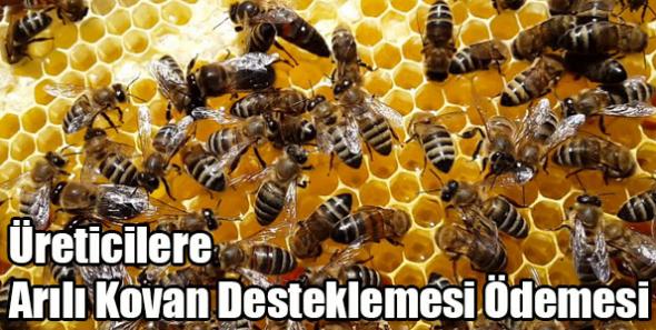 Üreticilere Arılı Kovan Desteklemesi Ödemesi