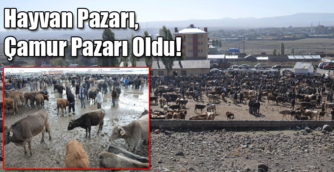 Hayvan Pazarı, Çamur Pazarı Oldu!